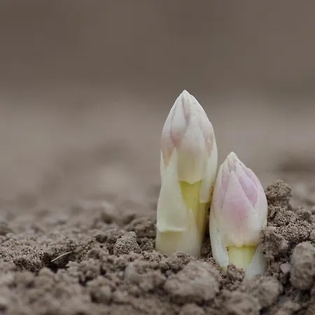 Bed & Breakfast Chambr'im Leh 3*