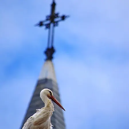 Panzió Chambr'im Leh Hoerdt